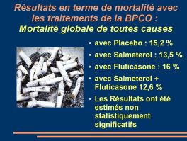 clic pour agrandir